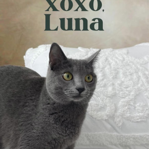 Video by abouttheboobsvip published on August 27,2023 01:20:00 - BestThots