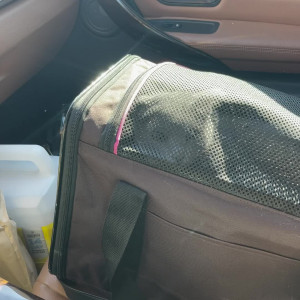 Video by abouttheboobsvip published on August 27,2023 01:28:42 - BestThots