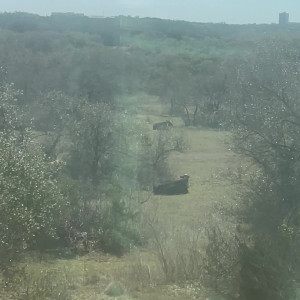 Video by abouttheboobsvip published on August 27,2023 01:24:42 - BestThots