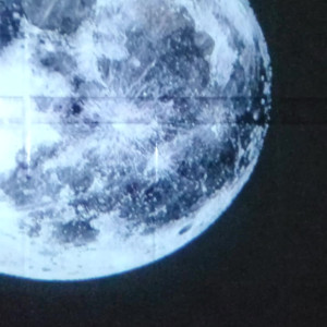 exoticwildflower #3656408