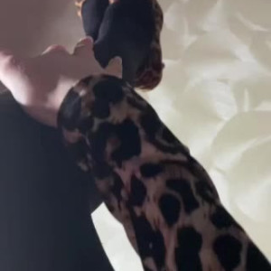 Video by dragon_exclusive published on April 6,2023 01:40:00 - BestThots