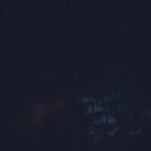 Video by candycharms published on March 24,2023 03:51:00 - BestThots
