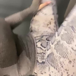 Video by candycharms published on August 13,2023 00:13:00 - BestThots