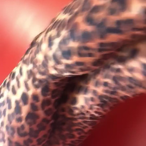 Video by kittyink published on April 26,2023 21:38:00 - BestThots