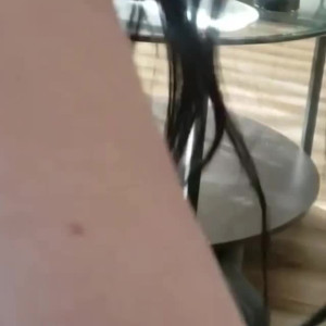 Video by elizabethreed published on August 27,2023 05:37:43 - BestThots