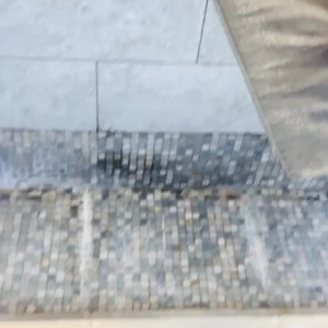 arabellakat #5236861