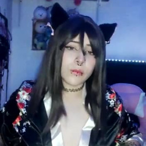 gatoverguero #3658568