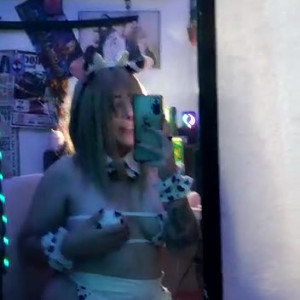 gatoverguero #9155622