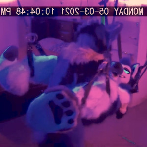 Video by sucario published on April 30,2023 02:35:00 - BestThots