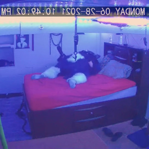 Video by sucario published on April 23,2023 09:07:00 - BestThots