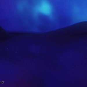 Video by jessejanex published on May 23,2023 23:47:00 - BestThots