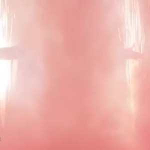Video by jessejanex published on May 28,2023 12:03:00 - BestThots