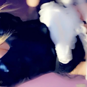 Video by jessejanex published on June 28,2023 13:27:00 - BestThots