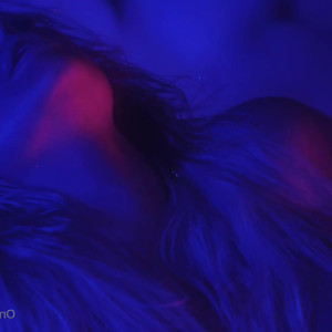 Video by jessejanex published on June 22,2023 00:00:00 - BestThots