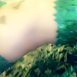 Video by jessejanex published on August 10,2023 14:45:00 - BestThots