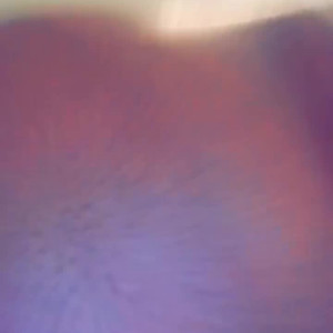 Video by loganberry_ published on July 9,2023 16:44:00 - BestThots
