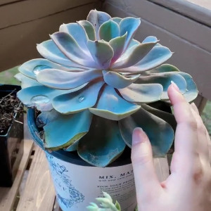 Video by leanalovings published on August 16,2023 11:54:01 - BestThots