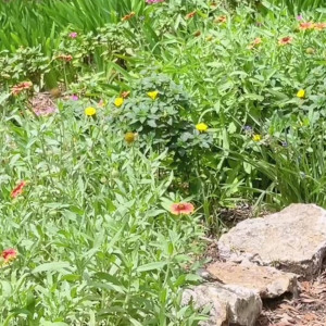 Video by leanalovings published on August 16,2023 10:38:34 - BestThots