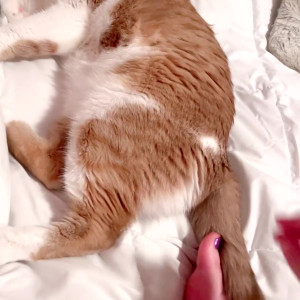 Video by leanalovings published on August 16,2023 12:00:40 - BestThots