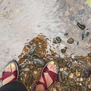 gia_sauvage #3661319