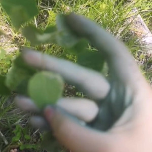 Video by natie published on May 15,2023 14:31:00 - BestThots