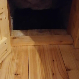 Video by israelimistress published on July 22,2023 00:51:00 - BestThots