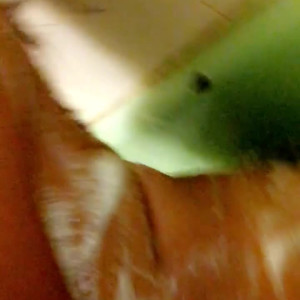 Video by badkitty69 published on May 7,2023 18:54:00 - BestThots
