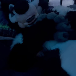 emmawerewuff #5374071