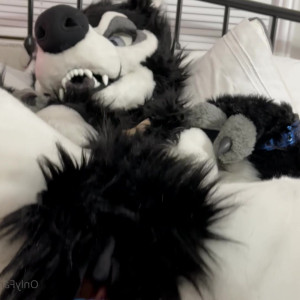 emmawerewuff #5758159