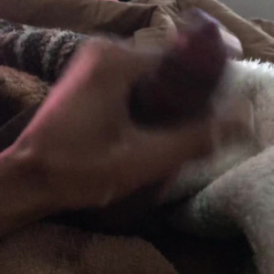 Video by cloudwolf published on April 28,2023 08:16:00 - BestThots