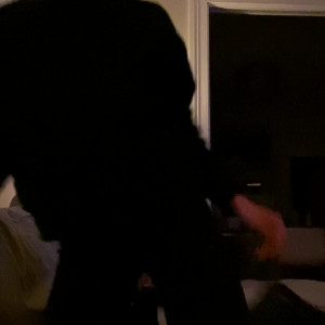 kittiwake.kittiwake #3663424