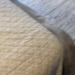 Video by modern_spartan published on March 7,2023 12:11:00 - BestThots