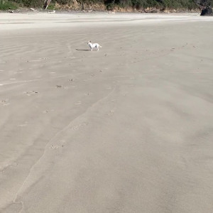 auroraarose.xo #3663842