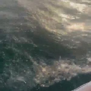 Video by snowinnhouston published on June 9,2023 20:04:00 - BestThots