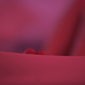 Video by louisdenavarre published on July 23,2023 16:26:00 - BestThots