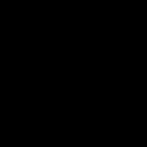 baileybootles #5036610