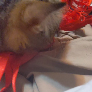 Video by usatame published on July 14,2023 19:10:00 - BestThots