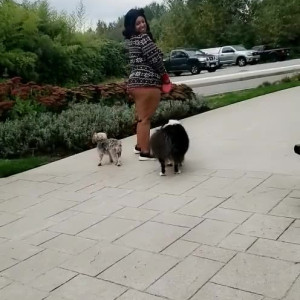 Video by marissafrost published on May 3,2023 14:16:00 - BestThots