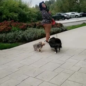 Video by marissafrost published on June 26,2023 23:41:00 - BestThots
