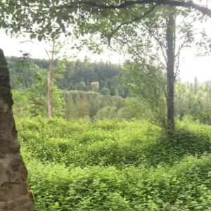 Video by domsluvz published on May 7,2023 01:15:00 - BestThots