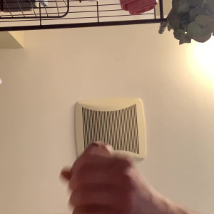Video by domsluvz published on May 18,2023 11:01:00 - BestThots