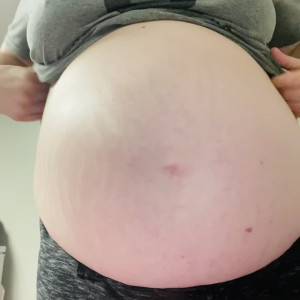preggodream #5535562