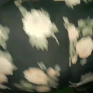 Video by shadydoll published on August 27,2023 08:06:30 - BestThots