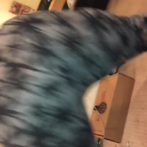 Video by shadydoll published on June 15,2023 04:30:00 - BestThots