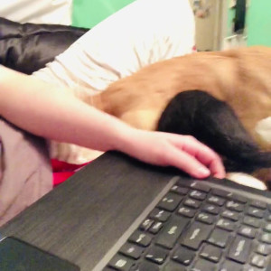 Video by savannahsolo published on April 4,2023 22:08:00 - BestThots