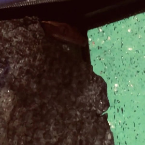 savannahsolo #4797012