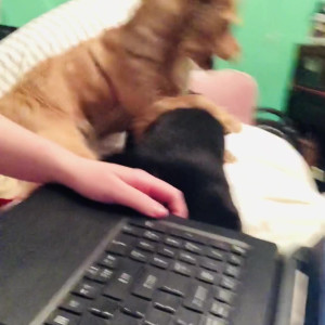 Video by savannahsolo published on July 27,2023 01:48:00 - BestThots