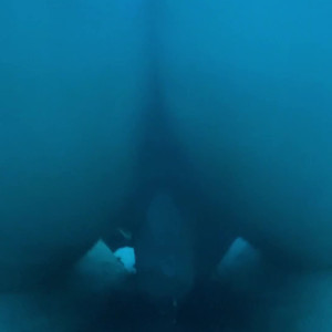 Video by moonformation published on March 25,2023 07:15:00 - BestThots