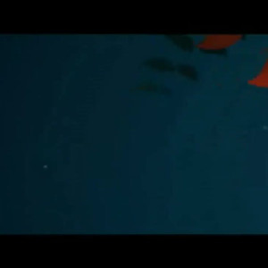 Video by vanessablue published on April 15,2023 23:16:00 - BestThots