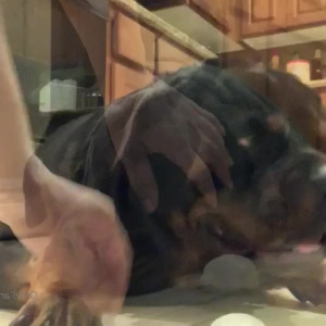 Video by vanessablue published on August 16,2023 06:26:00 - BestThots